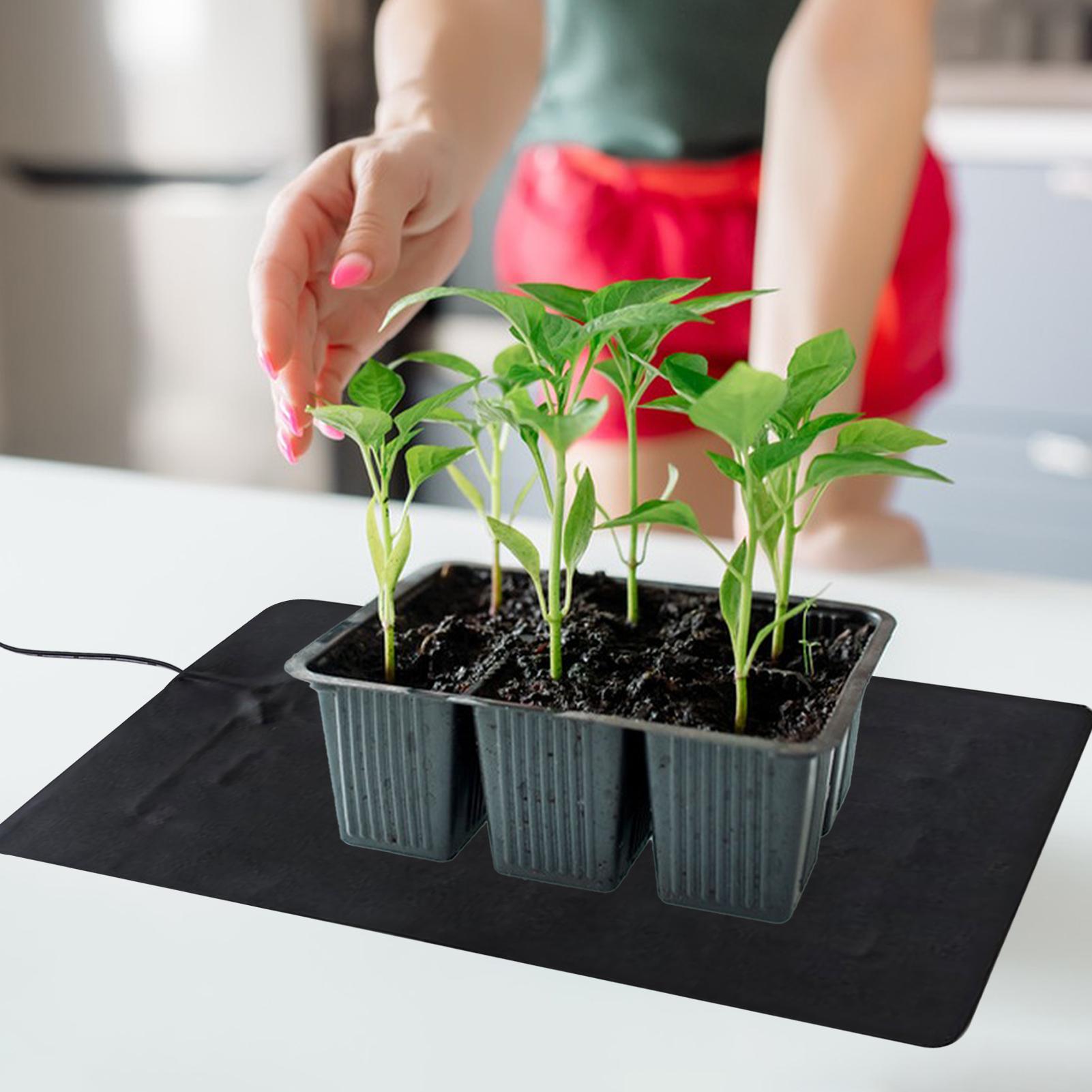 แผ่นทำความร้อนสำหรับเพาะเมล็ดแ - Seedling Heat Mat บทวิจารณ์และราคา