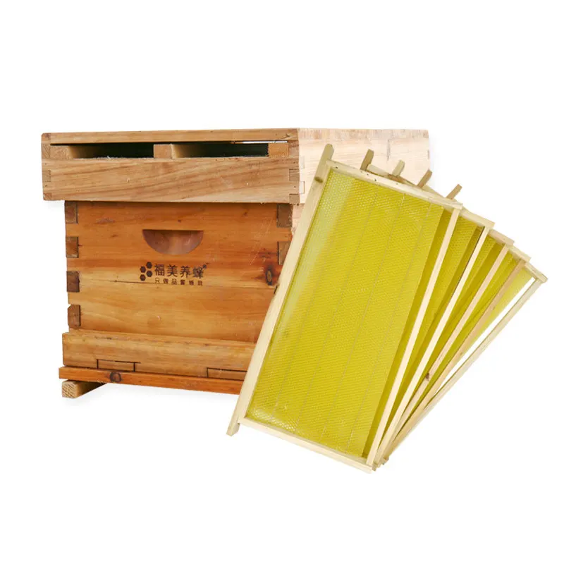 รังผึ้งแบบไม่ต้องติดตั้ง ประกอ - Beehive Frame Wax บทวิจารณ์และราคา
