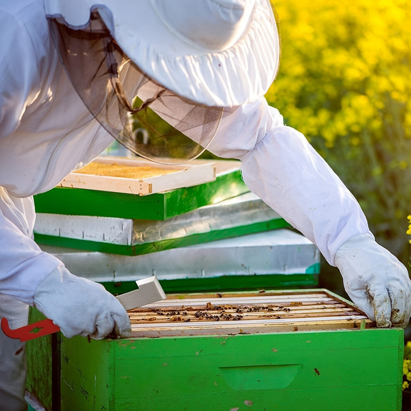 เครื่องมือขูดกรอบรังผึ้งอเนกปร - Beehive Frame Wax บทวิจารณ์และราคา