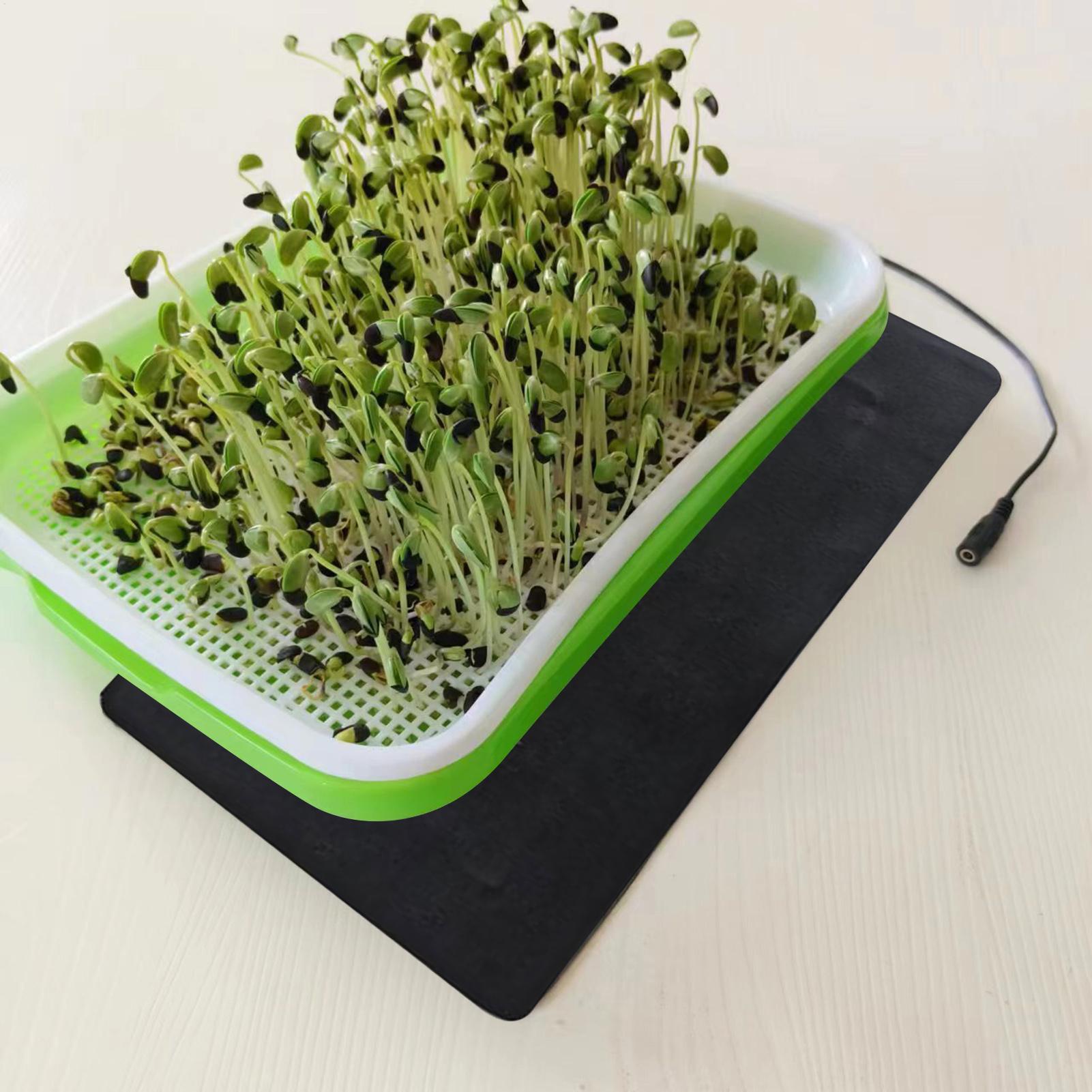 แผ่นทำความร้อนสำหรับต้นกล้า 8. - Seedling Heat Mat บทวิจารณ์และราคา