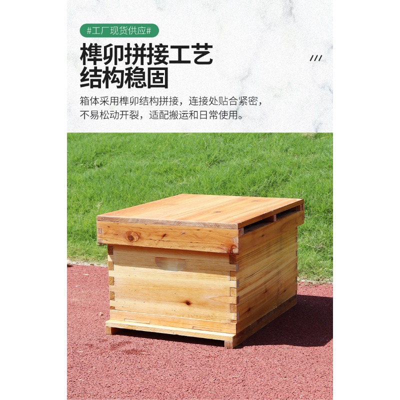 กล่องรังผึ้งไม้เฟอร์ 10 เฟรม อ - Beehive Frame Wax บทวิจารณ์และราคา