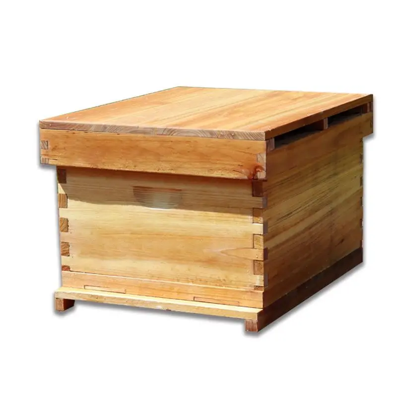 รังผึ้งน้ำผึ้ง รังผึ้งไม้สนแท้ - Beehive Frame Wax บทวิจารณ์และราคา